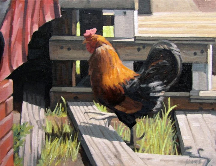 Rooster Portrait