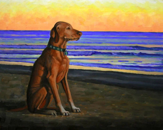 Dog at Sunset Beach