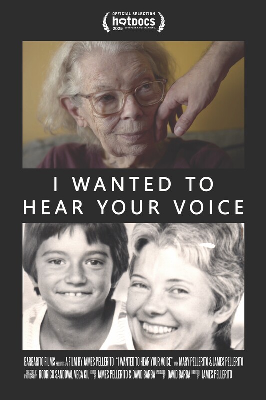 I Wanted To Hear Your Voice