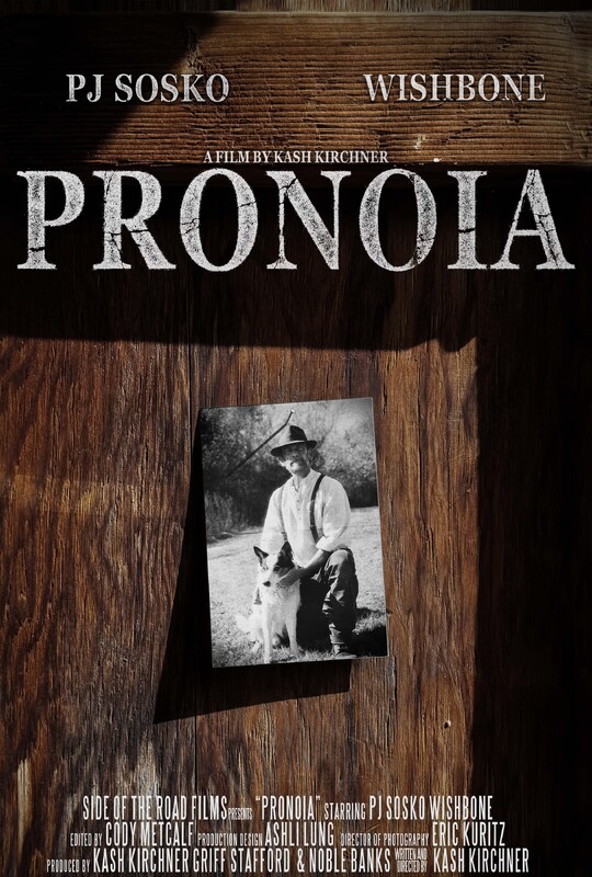 Pronoia