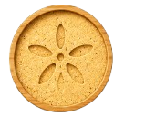 Sand Dollar
