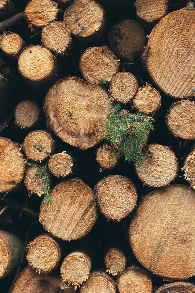 Selection and Preparation of Timber