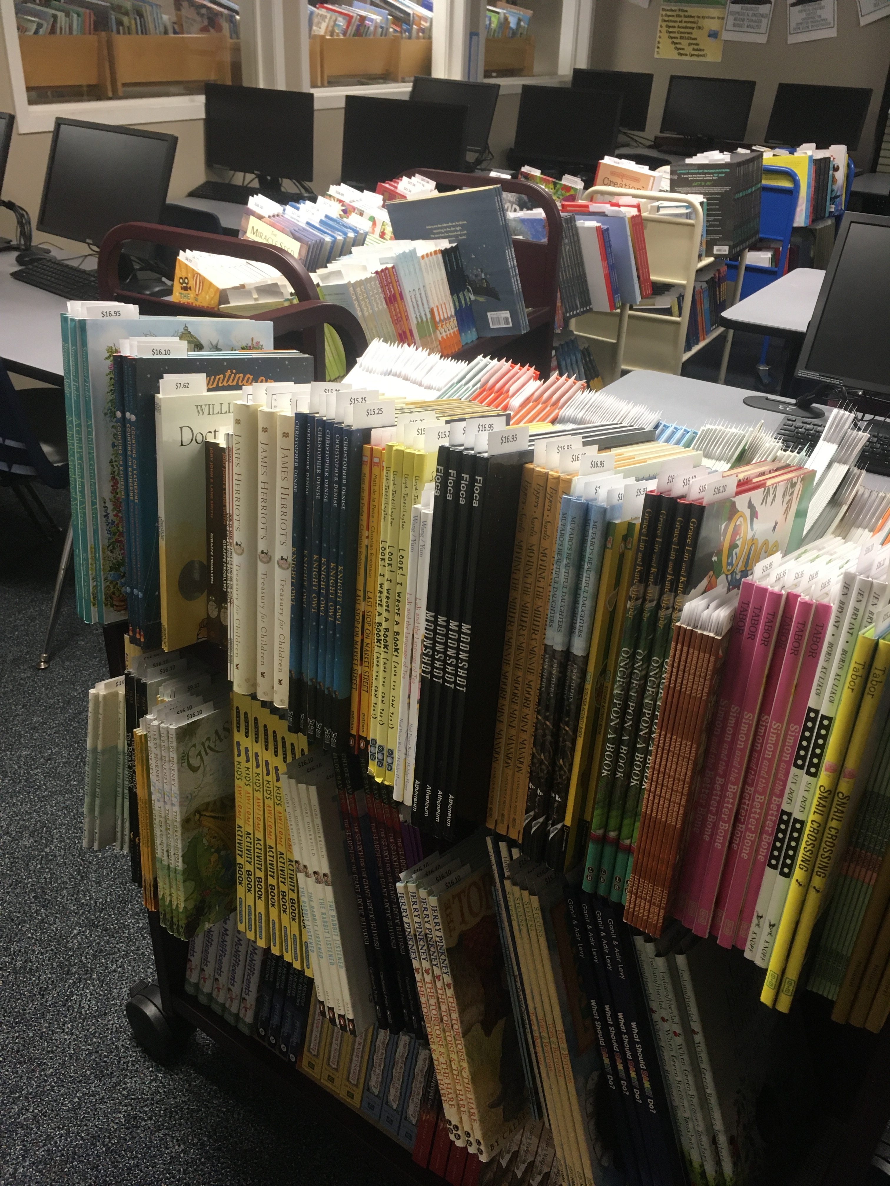 School library shelves