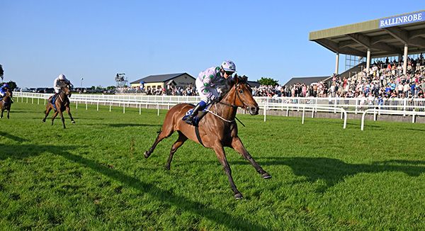 A Stoirin Wins at Ballinrobe