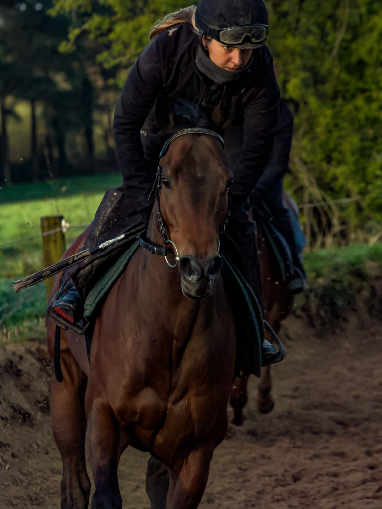 Andrew Slattery Racing — yard photo