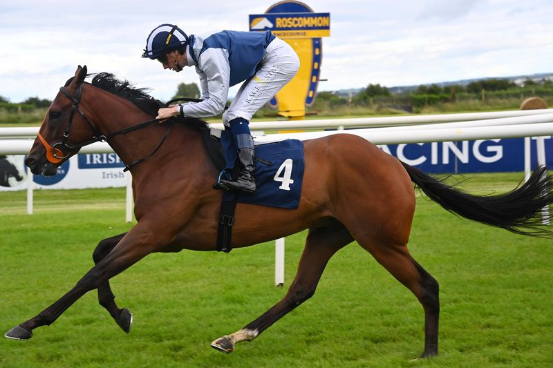 Nermal takes Roscommon handicap