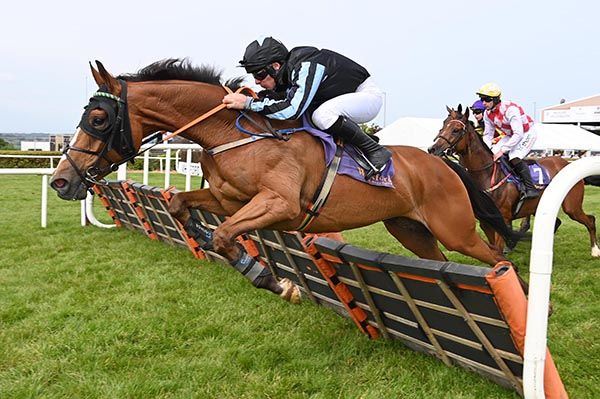 Ceroc earns first success over fences at Wexford