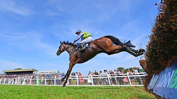Ladies Well springs 33/1 surprise at Killarney