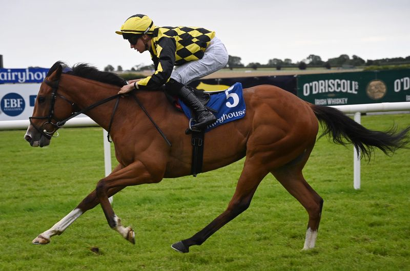 Pete's Dream doubles up at Fairyhouse