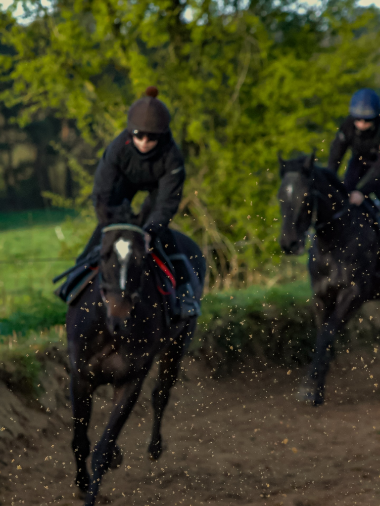 Andrew Slattery Racing — yard photo