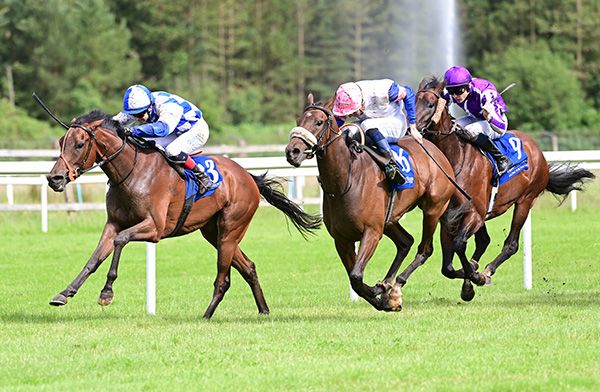 Expert Dancer lands Limerick maiden