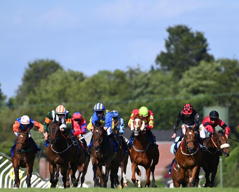 Faoladh Wins at Down Royal