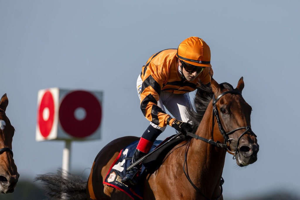 Loughrea follows up at Leopardstown