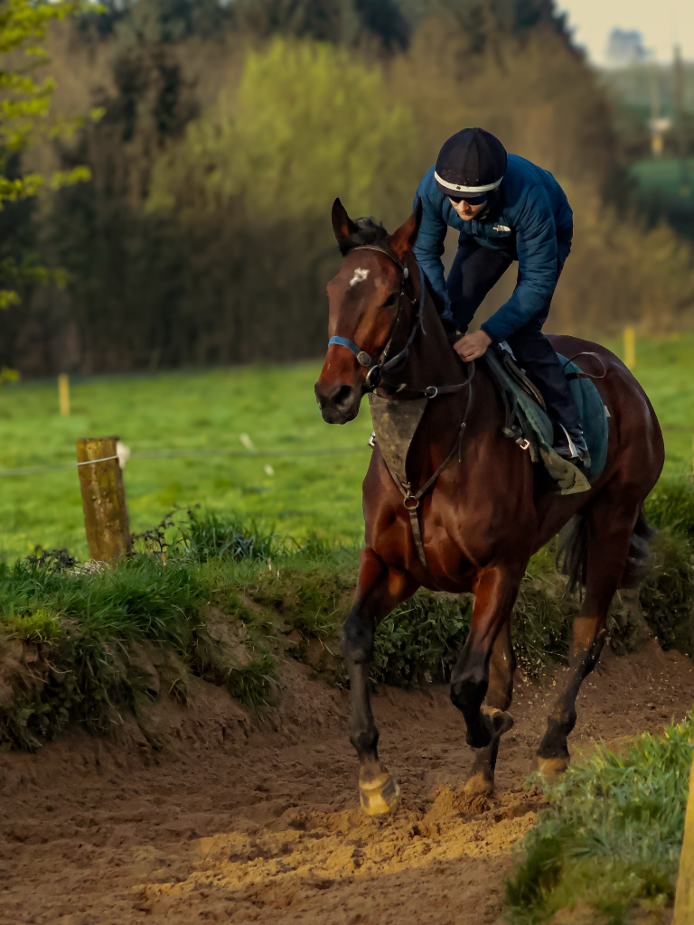Andrew Slattery Racing — yard photo