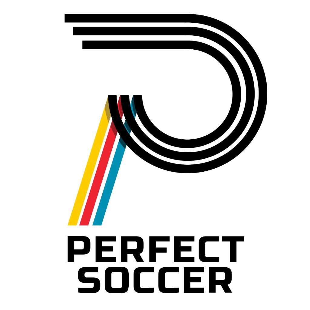 Perfect Soccer