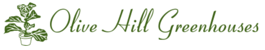 Olive Hill Greenhouses logo