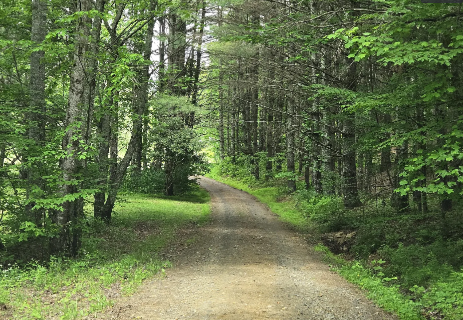 The path to higher ground