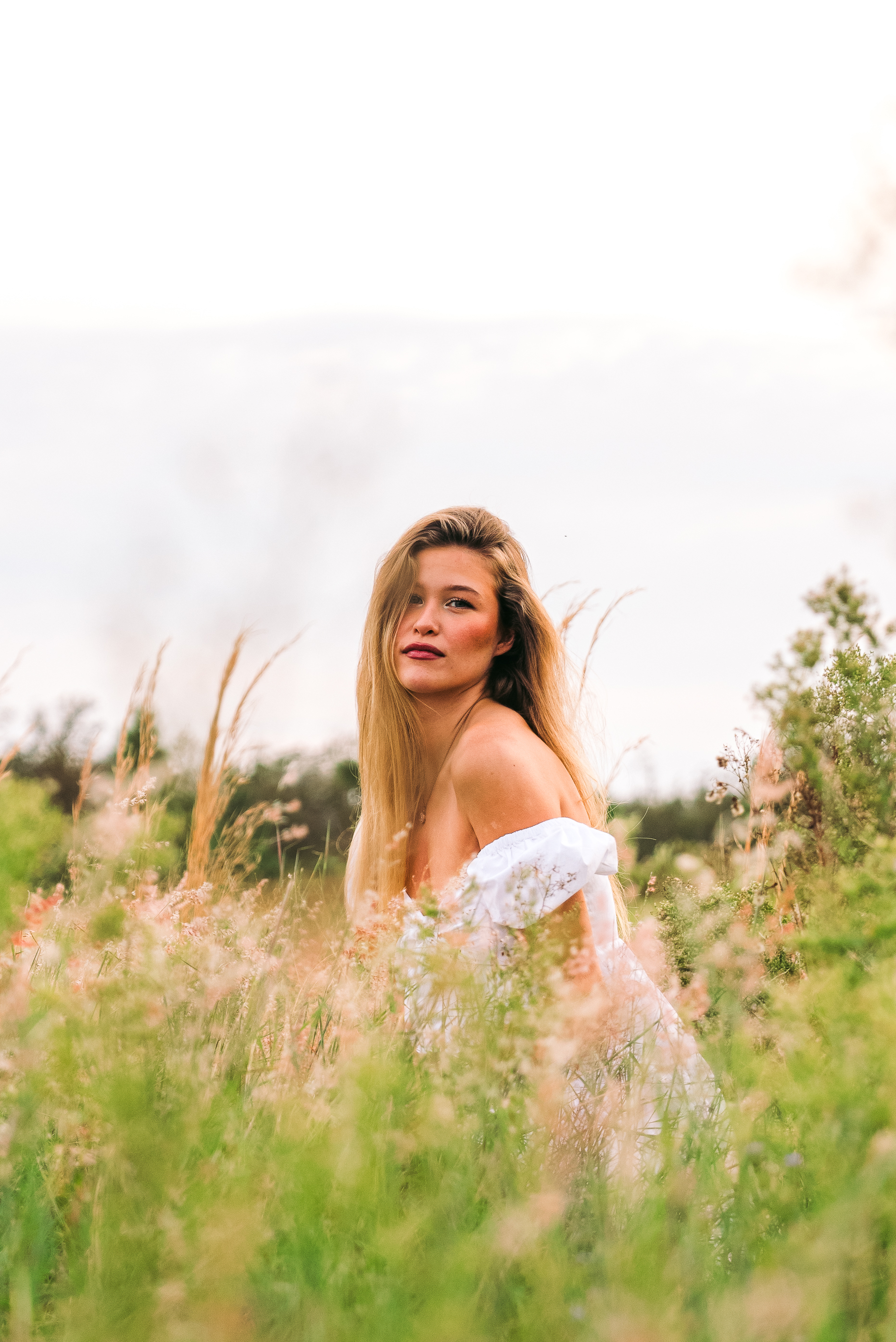 Field Editorial 6