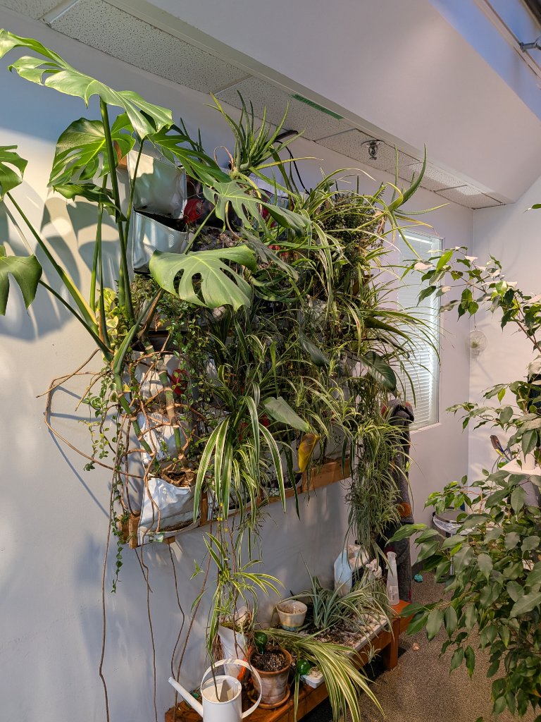 THE VERDANT VEIL OF VERTICAL VEGETATION