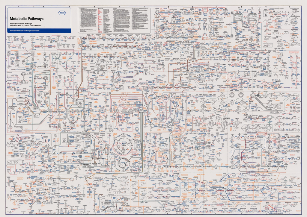 Metabolic Pathways - Roche
