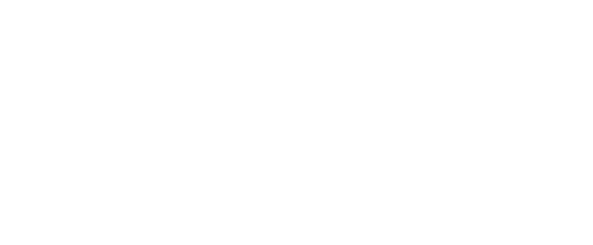 OBI