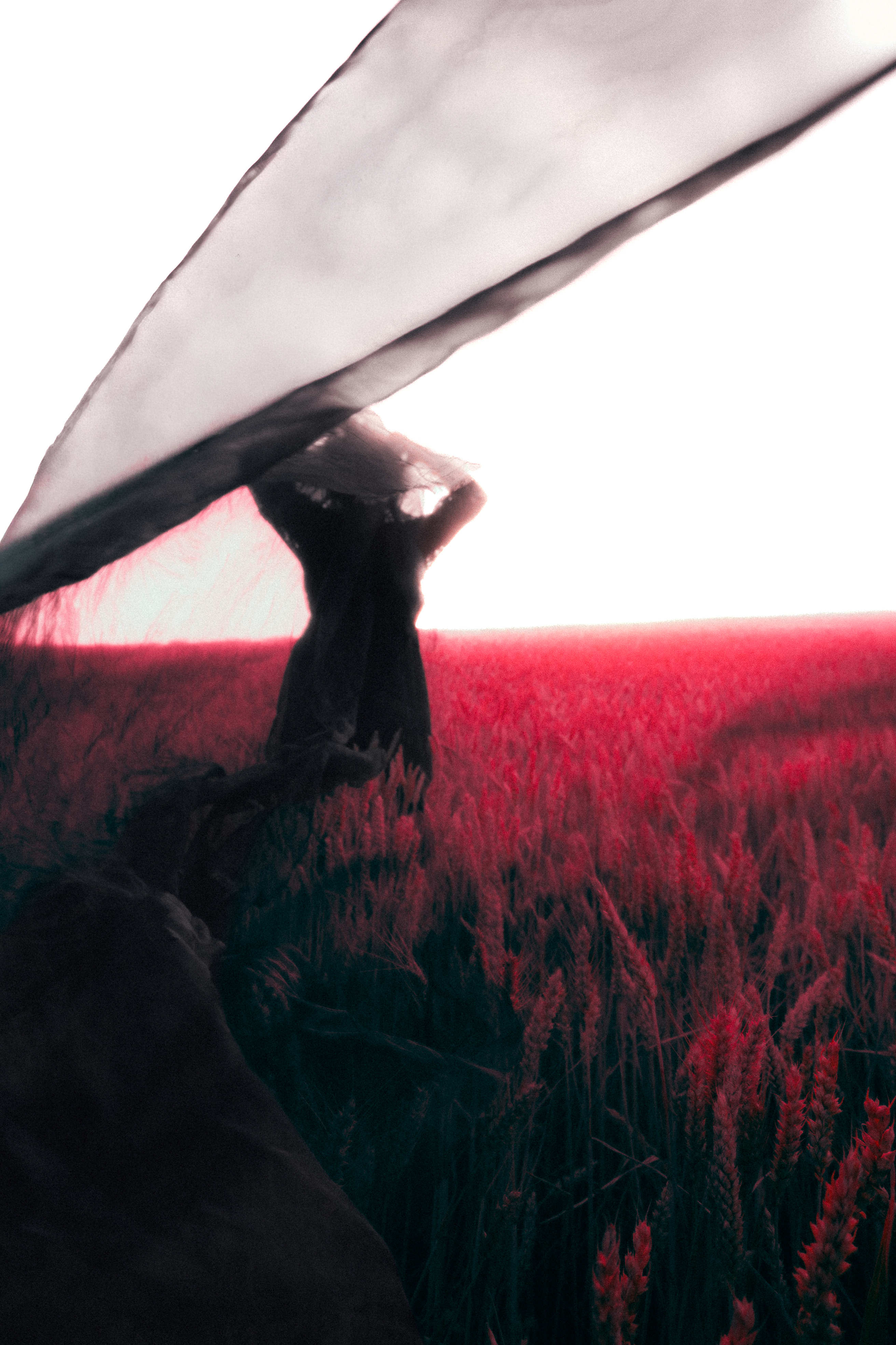 Le Voile Rouge