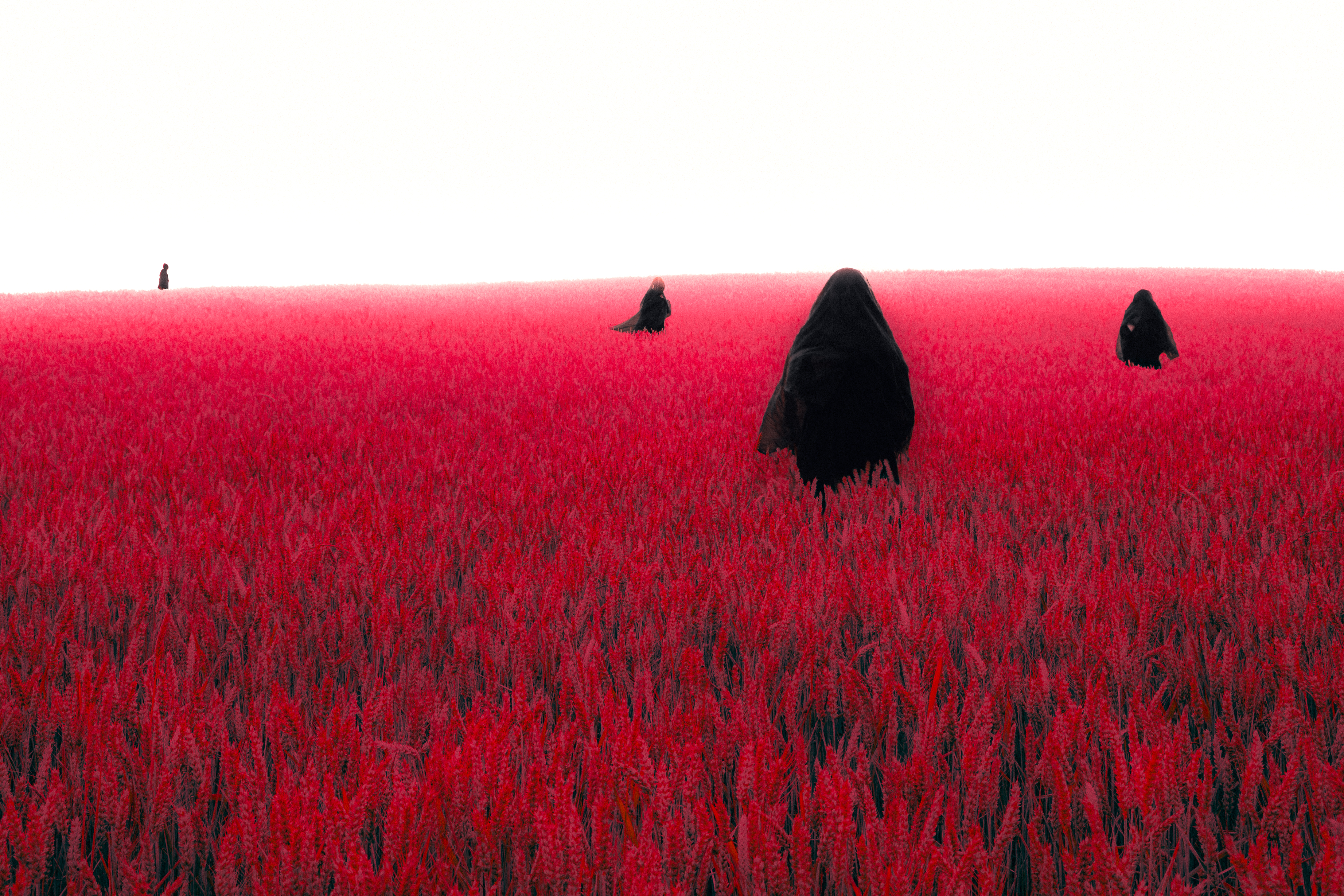Le Champ des Silences