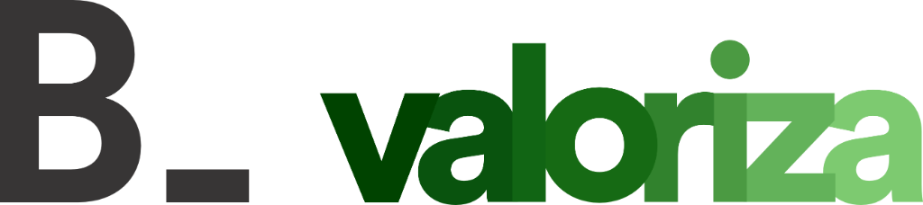B_valoriza logo