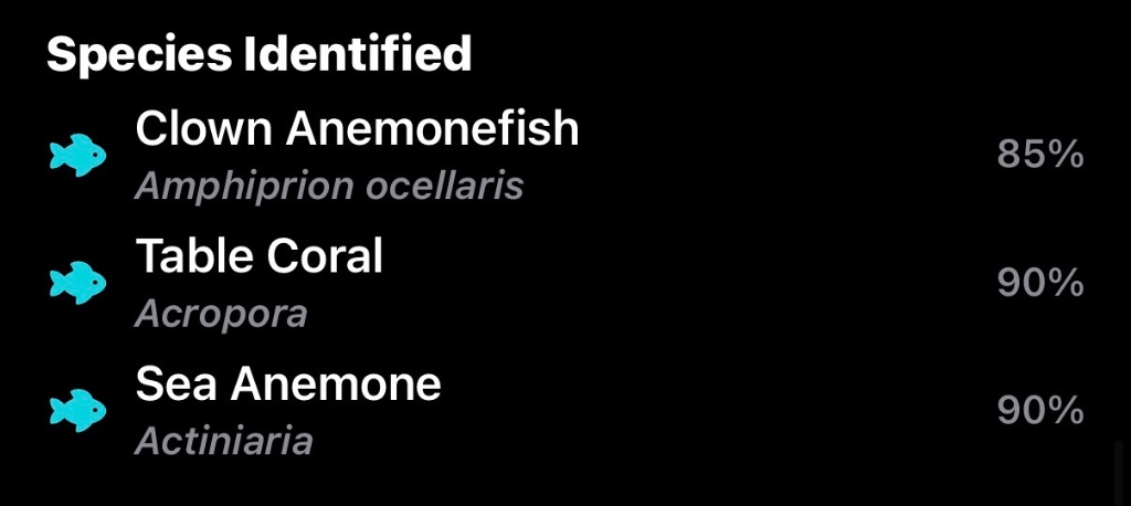 Species identification overlay