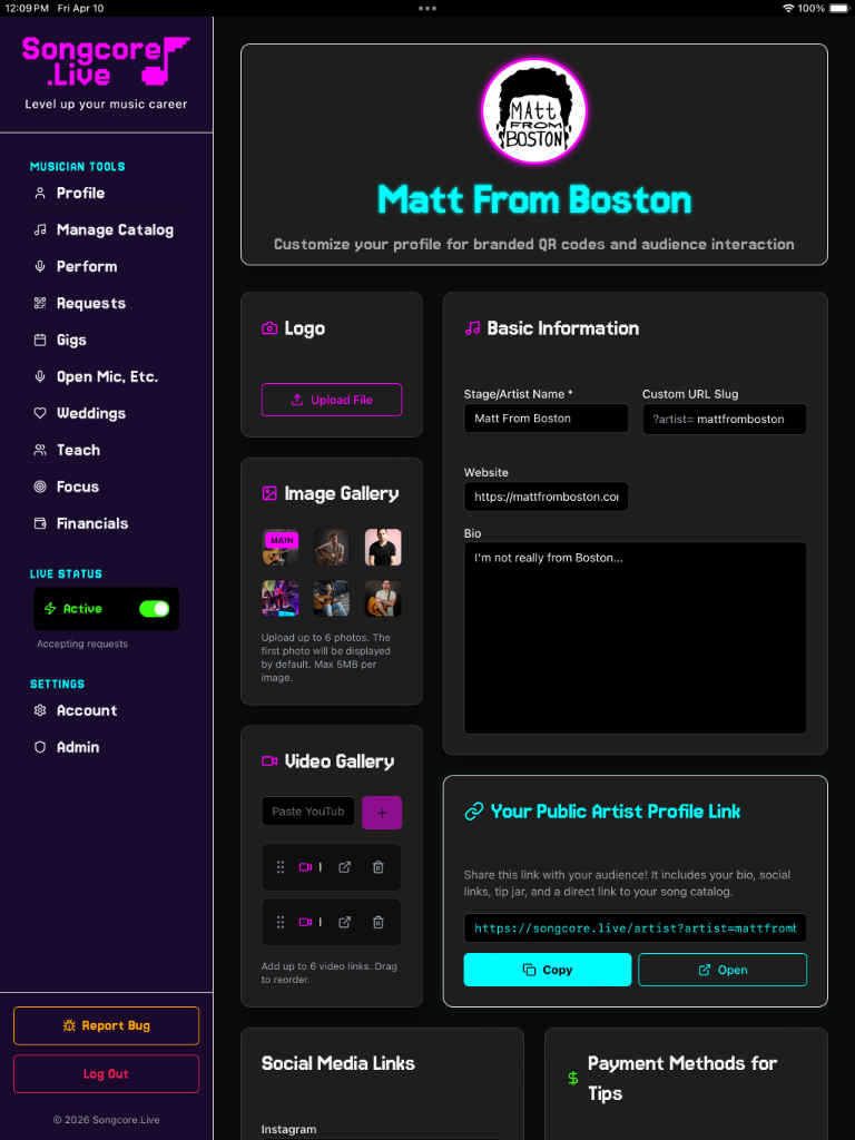 public artist website for musicians showing bio, media, gigs, and booking information