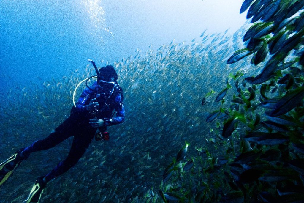 Ocean Exploration