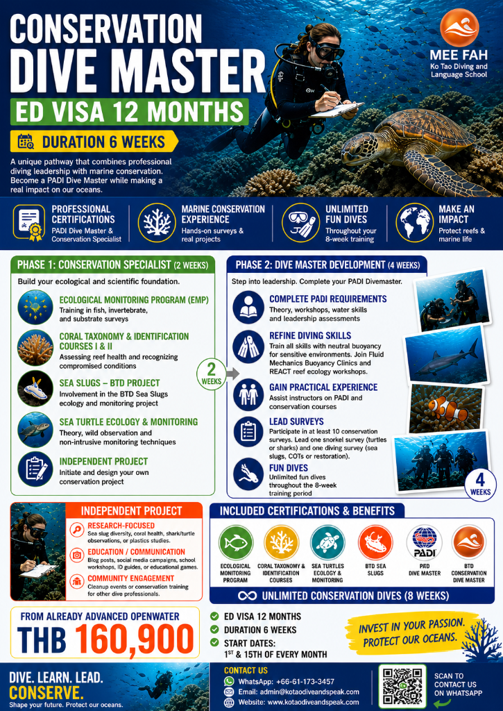 Conservation Divemaster flyer