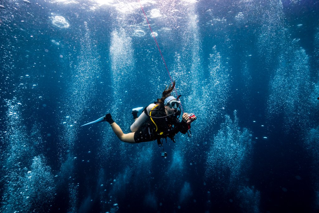 Open Water Training