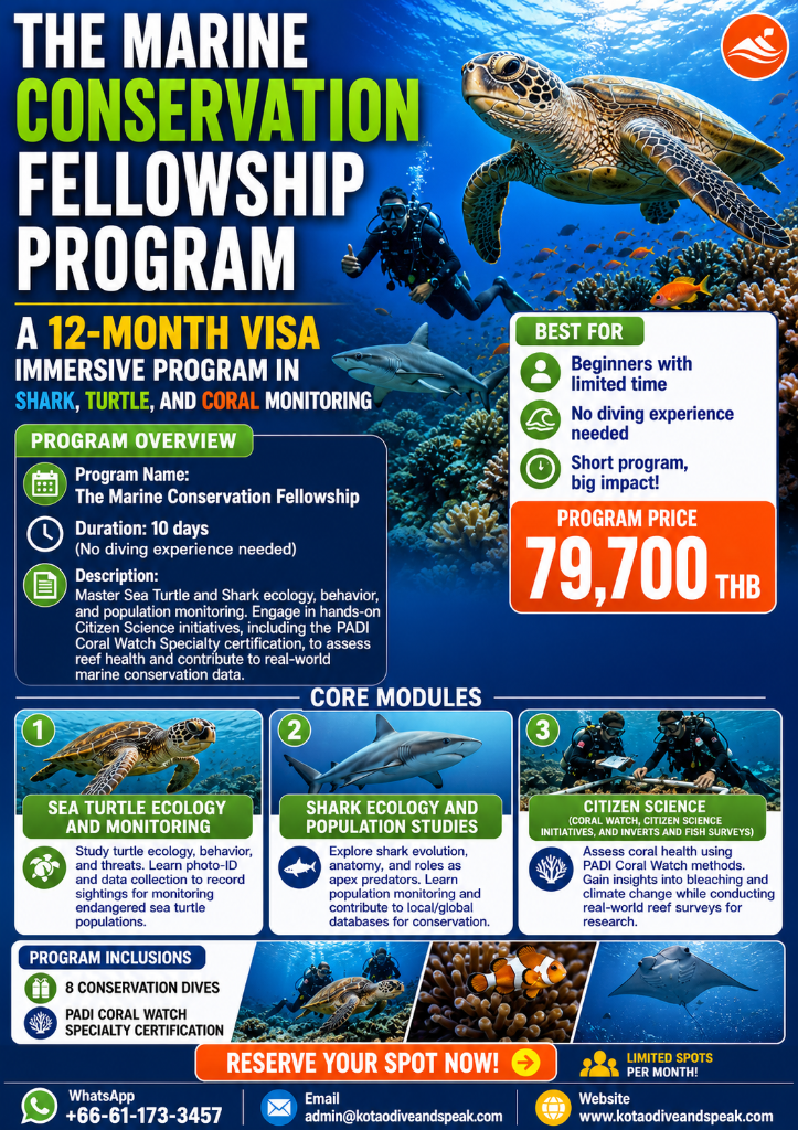 Marine Conservation Fellowship flyer