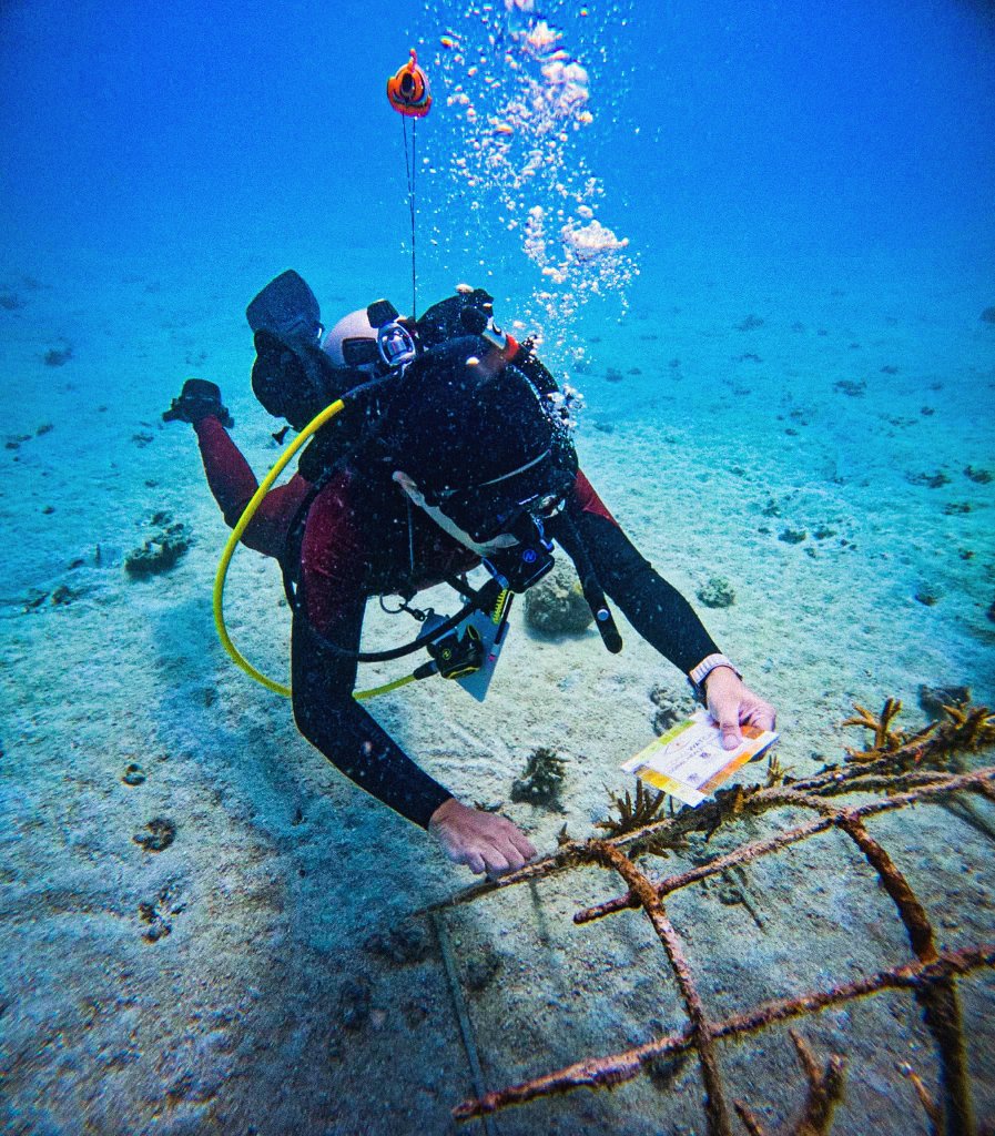 Conservation Diving