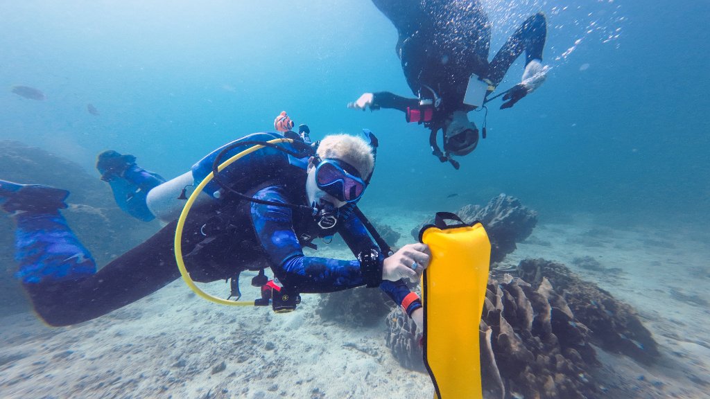 Conservation Diving Program