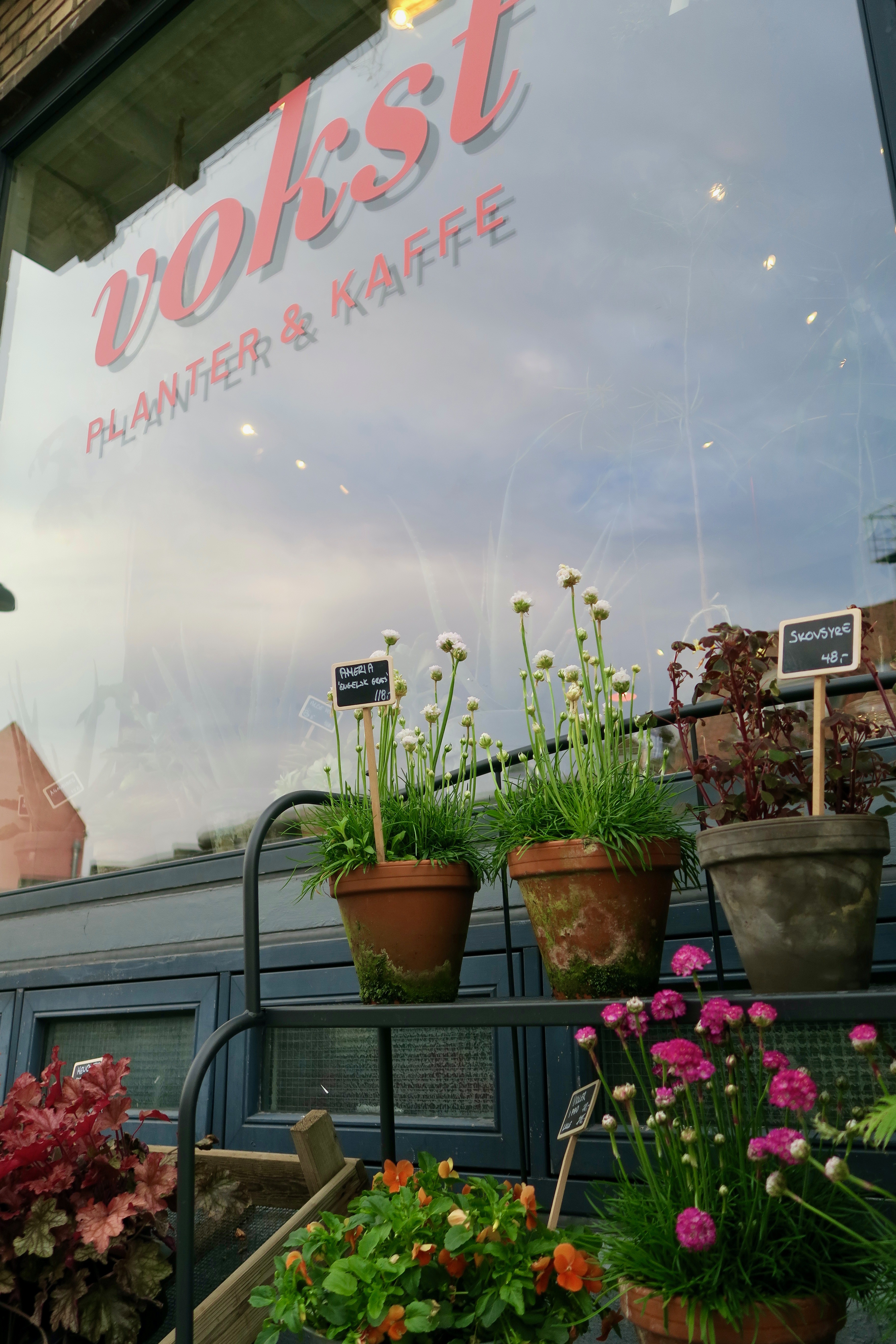 Vokst butiksvindue — Planter & Kaffe