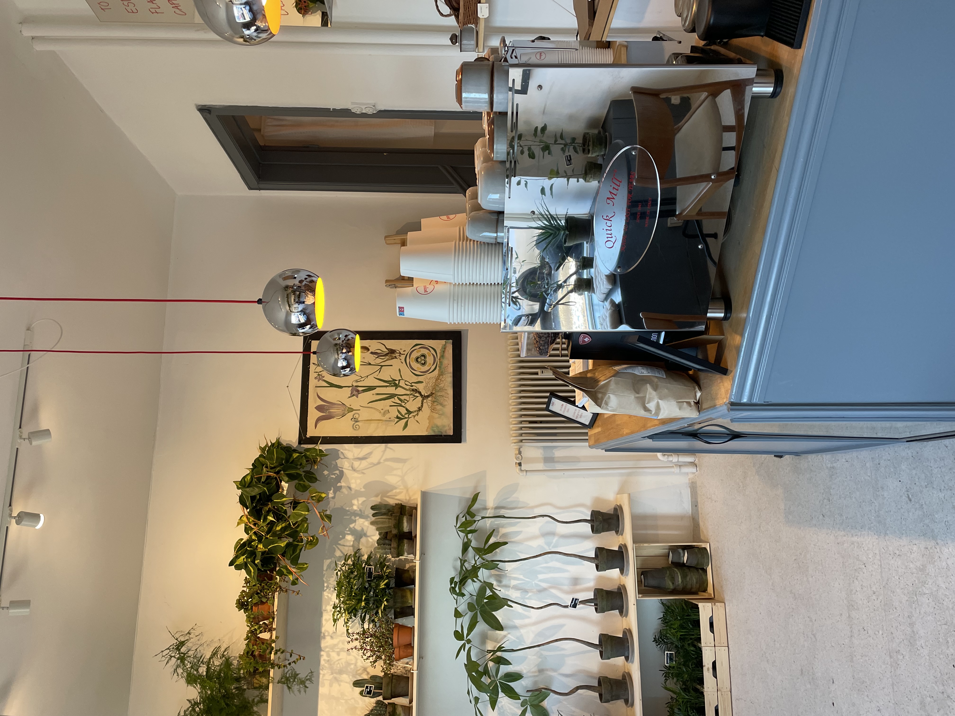 Hjørne af butikken med planter og tavleskilt