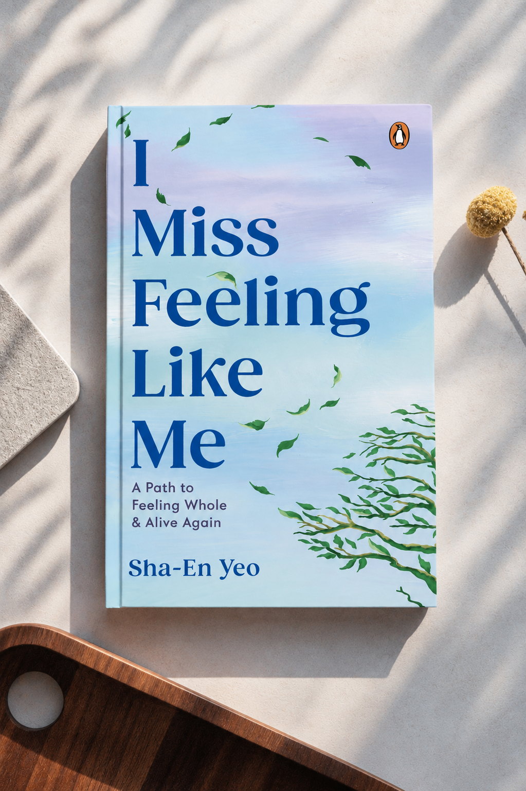 I Miss Feeling Like Me book cover
