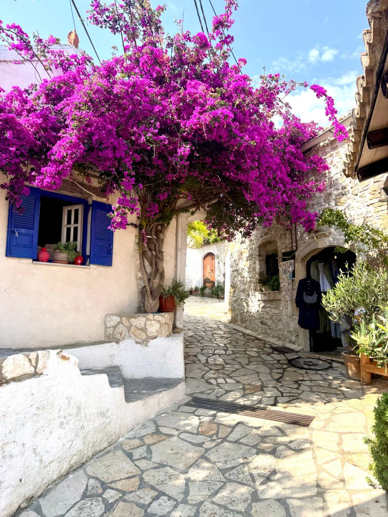 Korfu Altstadt – Bougainvillea