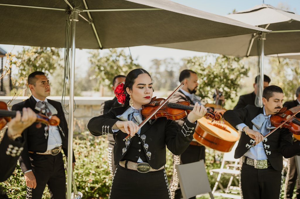 Mariachi Estelar performing