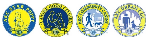 AKC certifications: S.T.A.R. Puppy, Canine Good Citizen, Community Canine, and Urban CGC