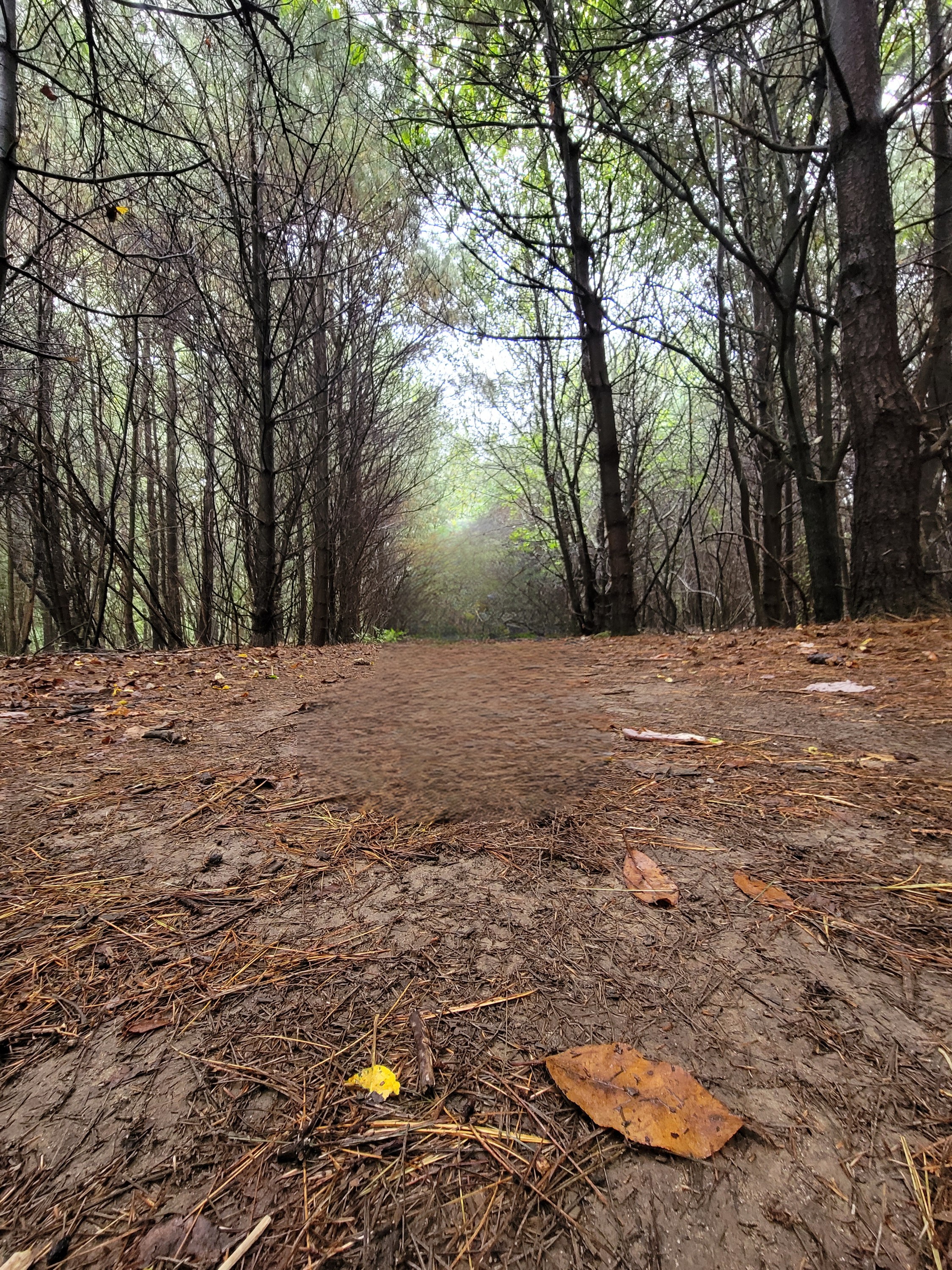 Nature trails at Quail Hollow
