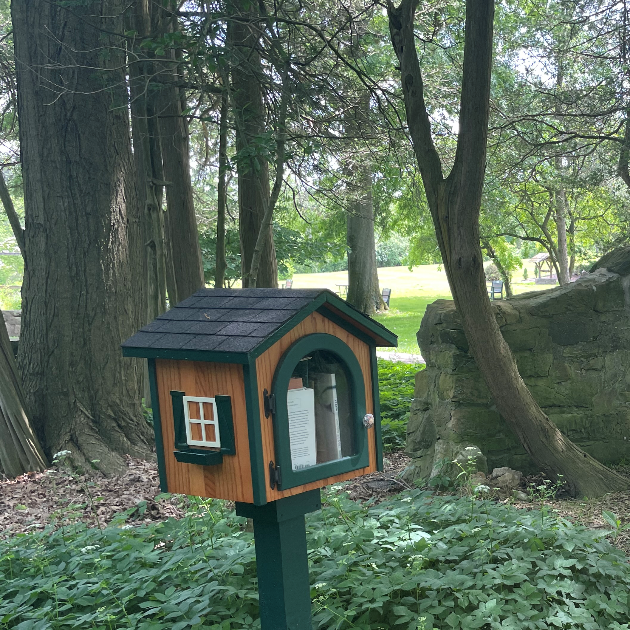 Little Free Library box in a wooded area at Quail Hollow