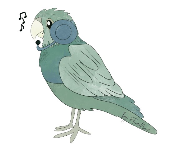 Singvogel