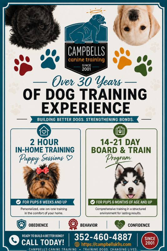 Expert Dog Training — Right in Your Village!