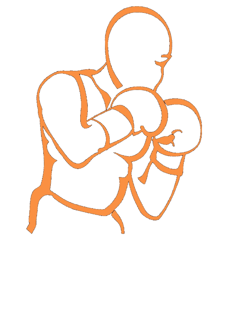 Boxverein Fulda Logo