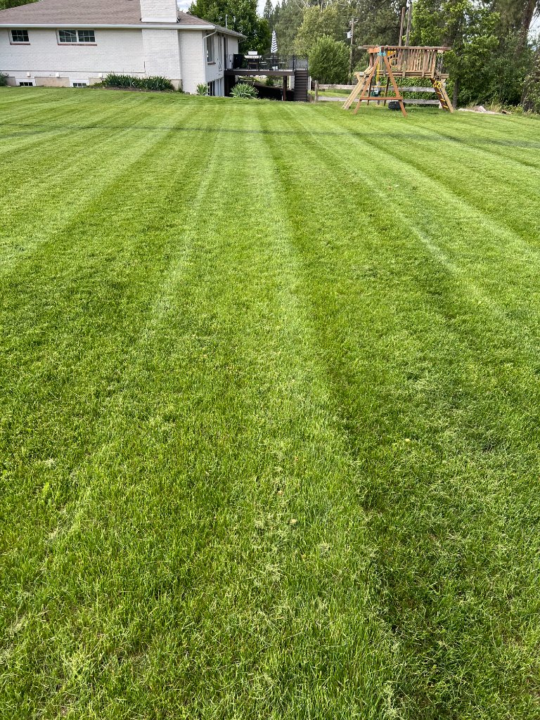 Mowing