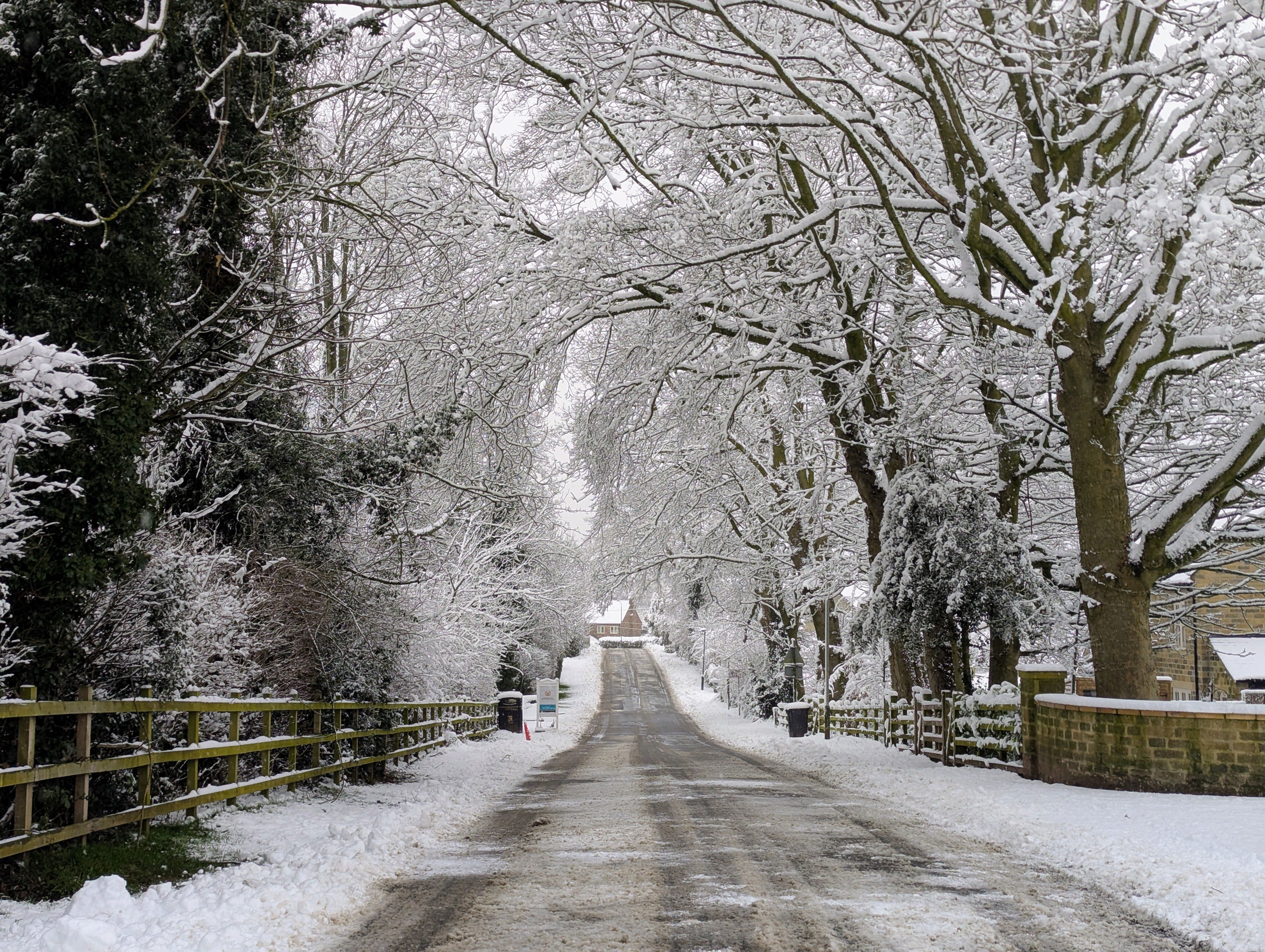 Snow Removal