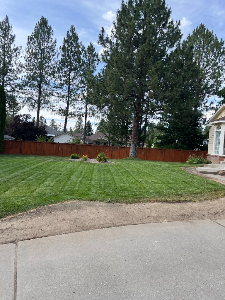 Lawn Mowing Service